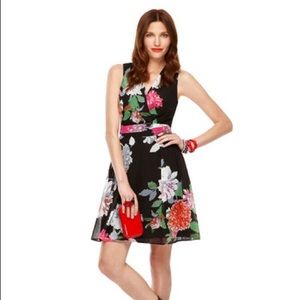 Floral Kirna Zabete at Target Dress Sz 10